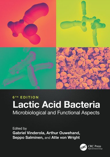 bokomslag Lactic Acid Bacteria