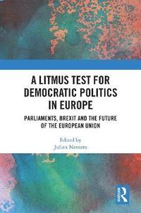 bokomslag A Litmus Test for Democratic Politics in Europe
