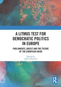 bokomslag A Litmus Test for Democratic Politics in Europe