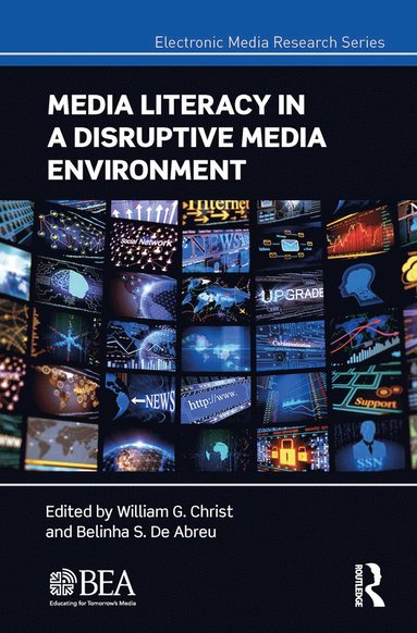 bokomslag Media Literacy in a Disruptive Media Environment