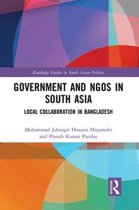 bokomslag Government and NGOs in South Asia