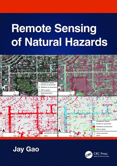 bokomslag Remote Sensing of Natural Hazards