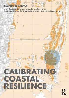 bokomslag Calibrating Coastal Resilience