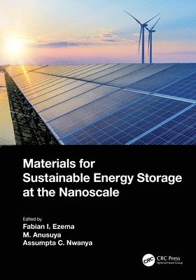 Materials for Sustainable Energy Storage at the Nanoscale 1