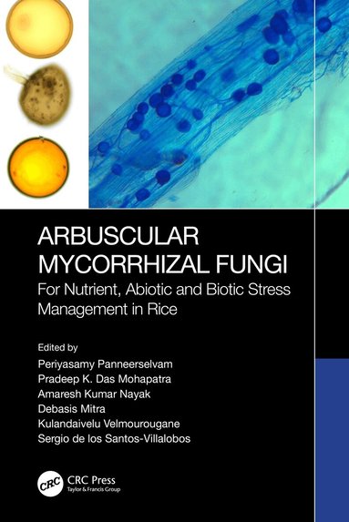 Periyasamy Panneerselvam, Pradeep Kumar Das Mohapatra, Amaresh Kumar Nayak, Debasis Mitra, Kulandaivelu Velmourougane, Sergio De Los Santos-Villalobos - Arbuscular Mycorrhizal Fungi, Inbunden