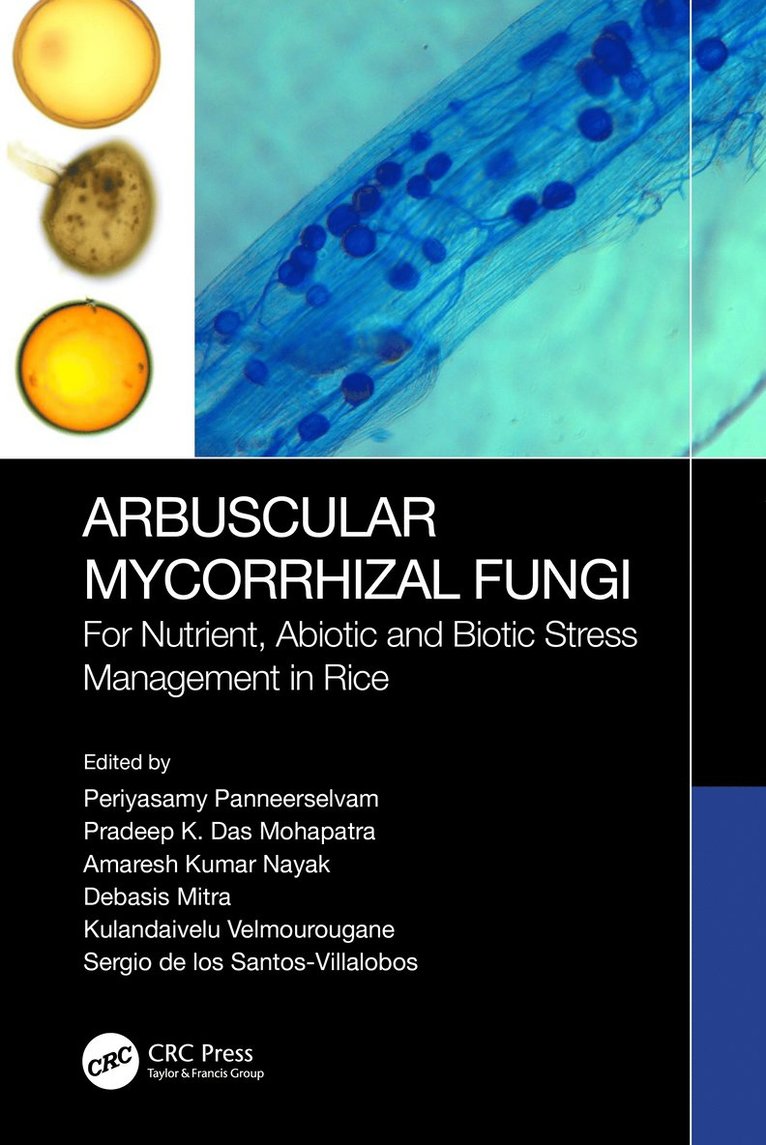 Arbuscular Mycorrhizal Fungi 1