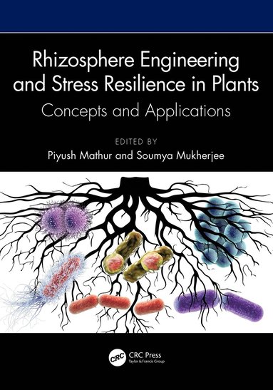 bokomslag Rhizosphere Engineering and Stress Resilience in Plants