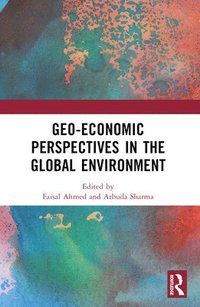 bokomslag Geo-economic Perspectives in the Global Environment