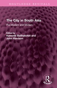 bokomslag The City in South Asia