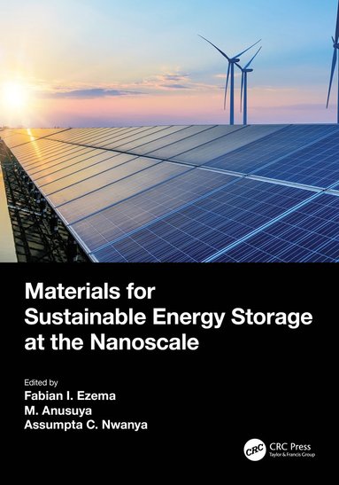 bokomslag Materials for Sustainable Energy Storage at the Nanoscale