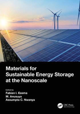 Materials for Sustainable Energy Storage at the Nanoscale 1