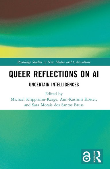 bokomslag Queer Reflections on AI