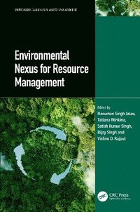 bokomslag Environmental Nexus for Resource Management