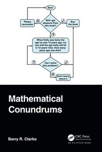 bokomslag Mathematical Conundrums