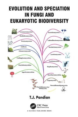 Evolution and Speciation in Fungi and Eukaryotic Biodiversity 1
