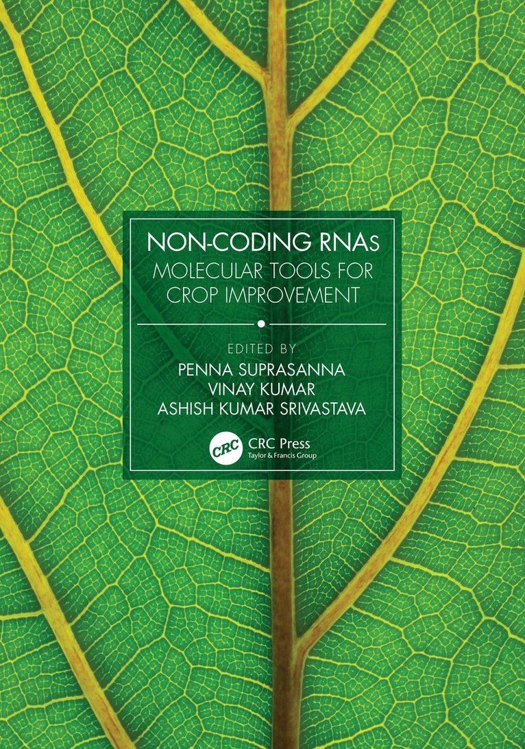 Penna Suprasanna, Vinay Kumar, Ashish Kumar Srivastava - Non-Coding RNAs, Inbunden