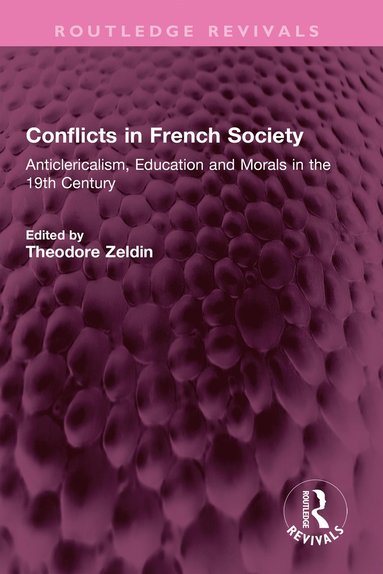 bokomslag Conflicts in French Society