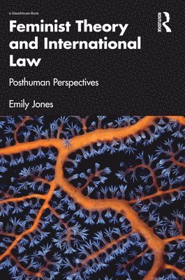 bokomslag Feminist Theory and International Law