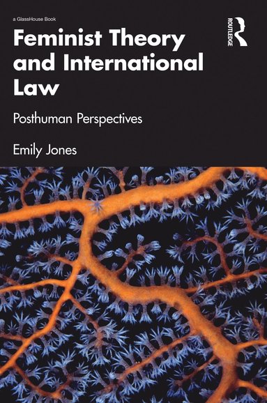 bokomslag Feminist Theory and International Law