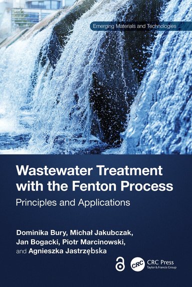 Dominika Bury, Michał Jakubczak, Jan Bogacki, Piotr Marcinowski, Agnieszka Jastrzębska - Wastewater Treatment with the Fenton Process, Häftad