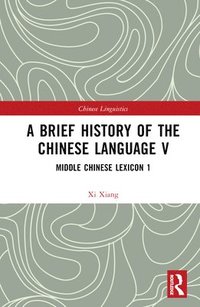 bokomslag A Brief History of the Chinese Language V