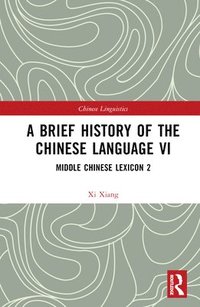 bokomslag A Brief History of the Chinese Language VI