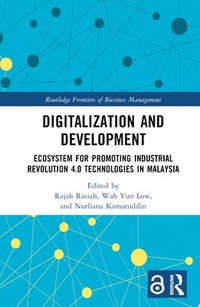 bokomslag Digitalization and Development