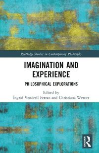 bokomslag Imagination and Experience