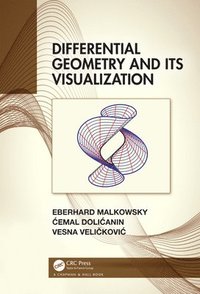 bokomslag Differential Geometry and Its Visualization