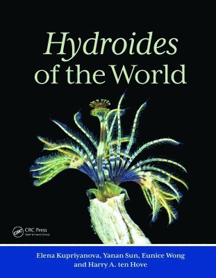bokomslag Hydroides of the World