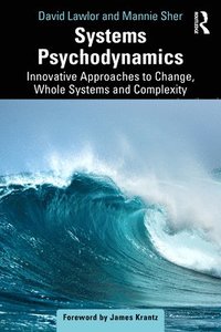 bokomslag Systems Psychodynamics