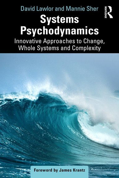 bokomslag Systems Psychodynamics