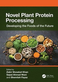 bokomslag Novel Plant Protein Processing