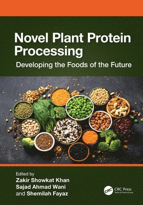 bokomslag Novel Plant Protein Processing