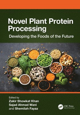 Novel Plant Protein Processing 1