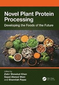 bokomslag Novel Plant Protein Processing