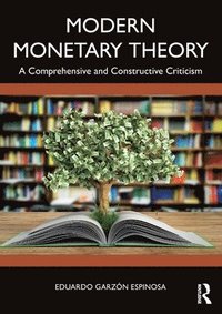bokomslag Modern Monetary Theory
