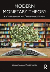 bokomslag Modern Monetary Theory