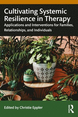 Cultivating Systemic Resilience in Therapy