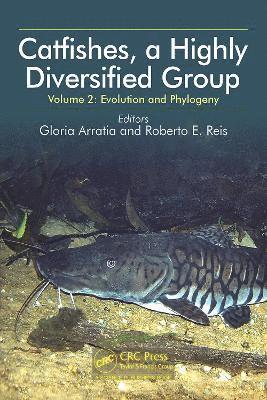 bokomslag Catfishes, a Highly Diversified Group