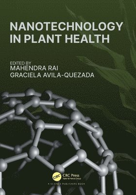 Nanotechnology in Plant Health