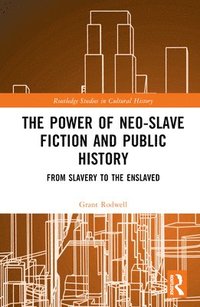 bokomslag The Power of Neo-Slave Fiction and Public History