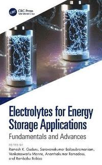 bokomslag Electrolytes for Energy Storage Applications