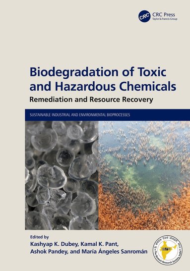 Kashyap K Dubey, Kamal K Pant, Ashok Pandey, Maria Ángeles Sanromán - Biodegradation of Toxic and Hazardous Chemicals, Inbunden