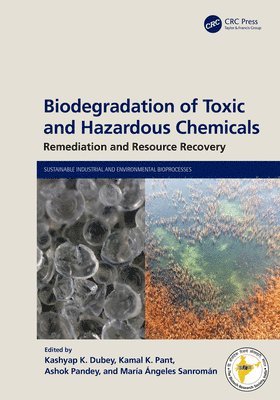 Kashyap K Dubey, Kamal K Pant, Ashok Pandey, Maria Ángeles Sanromán, Maria Angeles Sanroman, Kashyap K. Dubey, Kamal K. Pant - Biodegradation of Toxic and Hazardous Chemicals, Inbunden