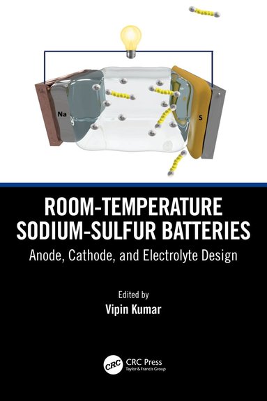 Vipin Kumar - Room-temperature Sodium-Sulfur Batteries, Inbunden