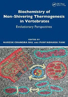 Biochemistry of Non-Shivering Thermogenesis in Vertebrates 1