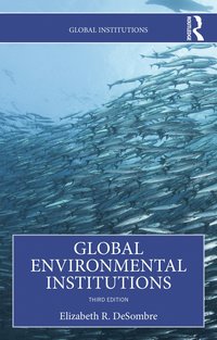 bokomslag Global Environmental Institutions