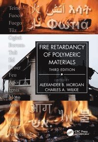 bokomslag Fire Retardancy of Polymeric Materials