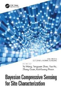 bokomslag Bayesian Compressive Sensing for Site Characterization